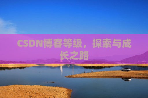 CSDN博客等级，探索与成长之路